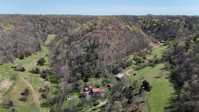 595 Woodard Ln, Dixon Springs, TN 37057 - photo 97