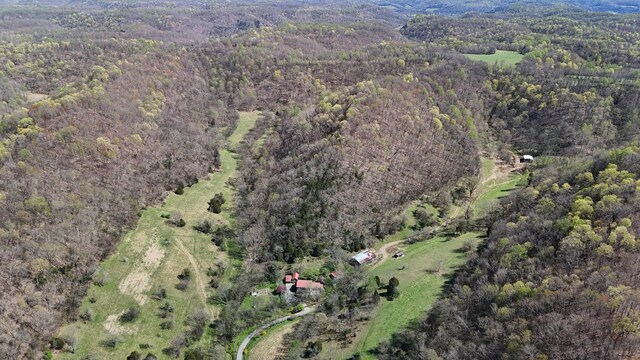 595 Woodard Ln, Dixon Springs, TN 37057 - photo 85