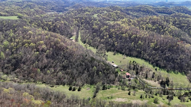 595 Woodard Ln, Dixon Springs, TN 37057 - photo 90