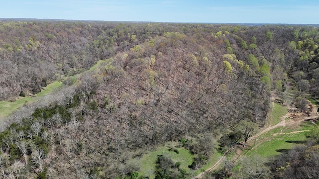 595 Woodard Ln, Dixon Springs, TN 37057 - photo 94