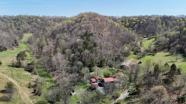 595 Woodard Ln, Dixon Springs, TN 37057 - photo 99