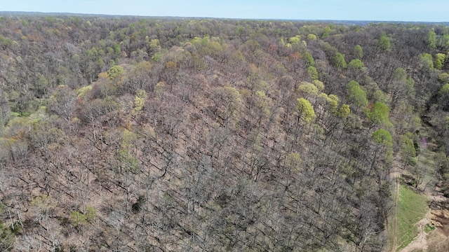 595 Woodard Ln, Dixon Springs, TN 37057 - photo 93