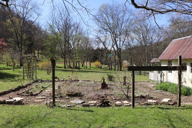 595 Woodard Ln, Dixon Springs, TN 37057 - photo 70