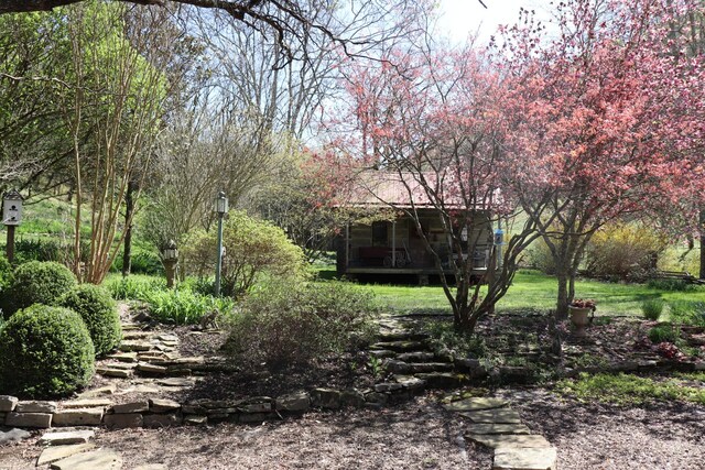 595 Woodard Ln, Dixon Springs, TN 37057 - photo 72