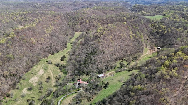 595 Woodard Ln, Dixon Springs, TN 37057 - photo 84