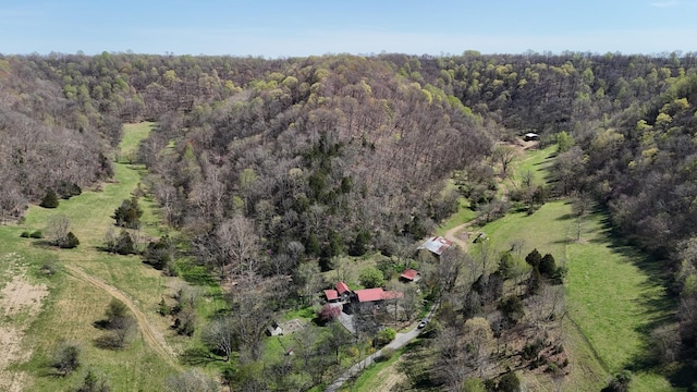 595 Woodard Ln, Dixon Springs, TN 37057 - photo 98