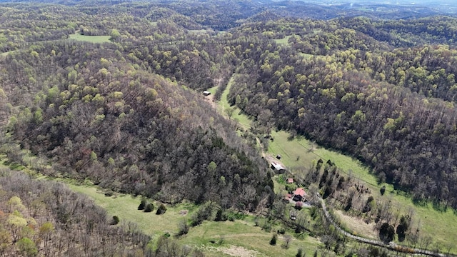 595 Woodard Ln, Dixon Springs, TN 37057 - photo 89