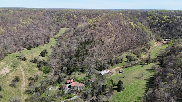 595 Woodard Ln, Dixon Springs, TN 37057 - photo 96