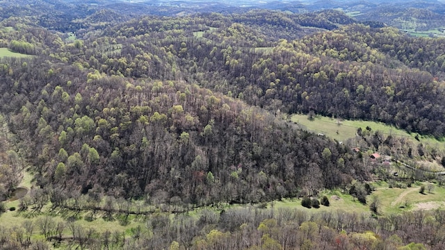 595 Woodard Ln, Dixon Springs, TN 37057 - photo 92