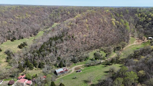 595 Woodard Ln, Dixon Springs, TN 37057 - photo 95