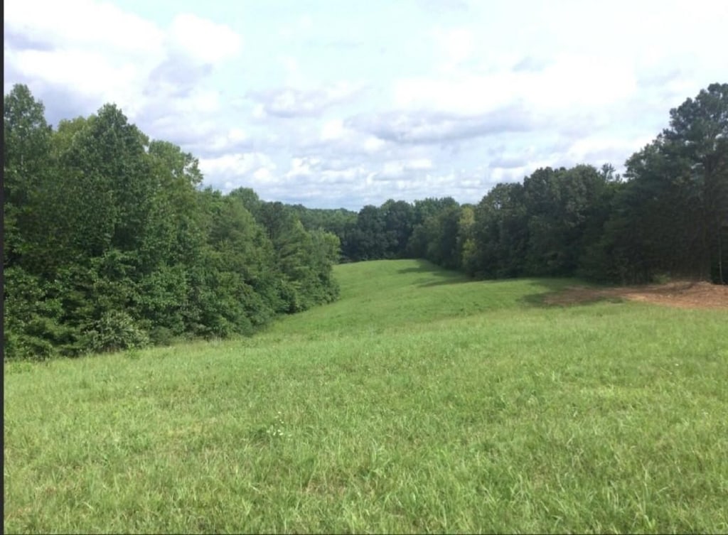 0 Young Ridge Rd, Sparta, TN 38583 - photo 1