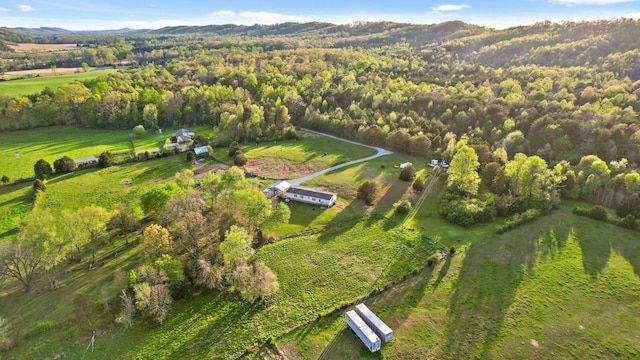 birds eye view of property with a rural view, a view of trees, and a mountain view