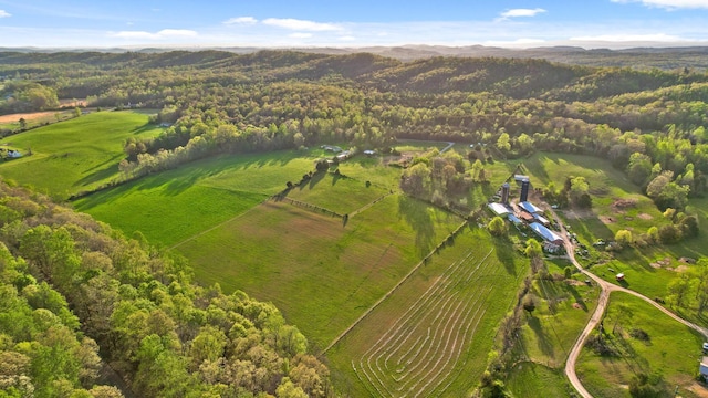 birds eye view of property featuring a wooded view, a mountain view, and a rural view