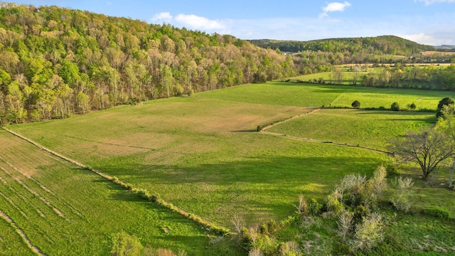 aerial view featuring a view of trees and a rural view