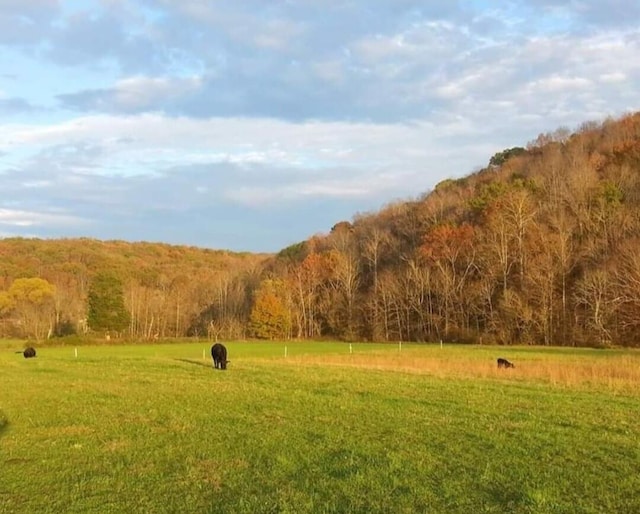 property view of mountains with a rural view and a view of trees