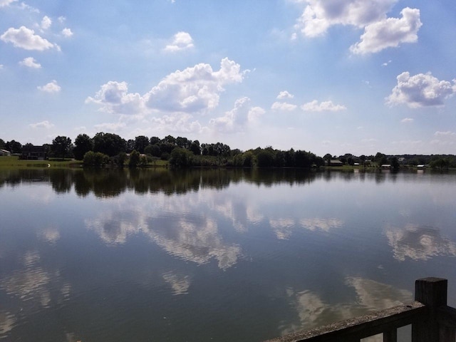 144 Lake Villa Cir, Morrison, TN 37357 - photo 20
