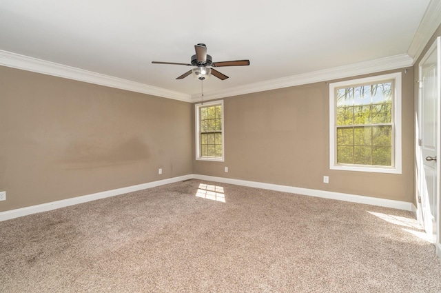 1835 Rains Rd, Clarksville, TN 37042 - photo 12