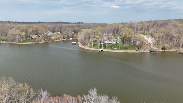250 Sun Hill Cir, Cadiz, KY 42211 - drone / aerial view with a water view and a view of trees