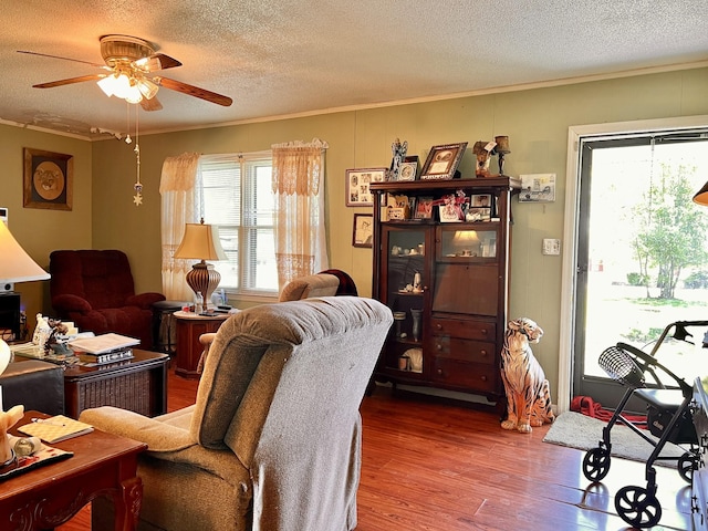 1112 Cumberland St, Decherd, TN 37324 - living area with a wealth of natural light, a textured ceiling, and ornamental molding