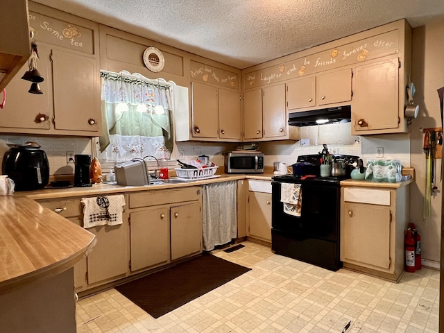 1112 Cumberland St, Decherd, TN 37324 - kitchen with a sink, stainless steel microwave, electric range, light countertops, and under cabinet range hood
