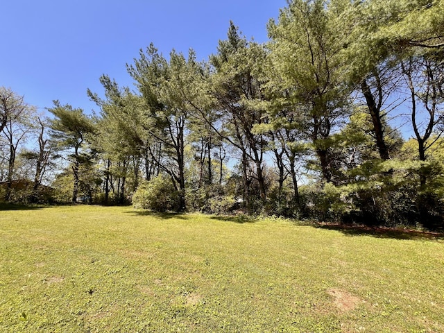 1112 Cumberland St, Decherd, TN 37324 - view of yard