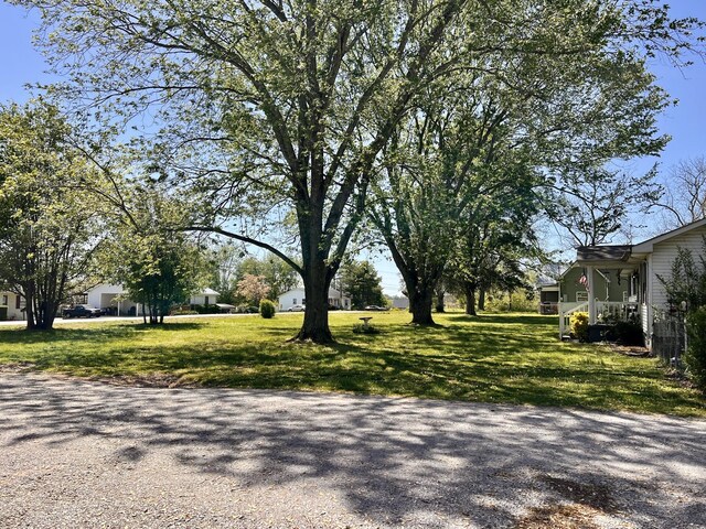 1112 Cumberland St, Decherd, TN 37324 - view of road