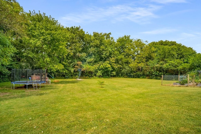 1001 N Graycroft Ave, Madison, TN 37115 - view of yard featuring a trampoline