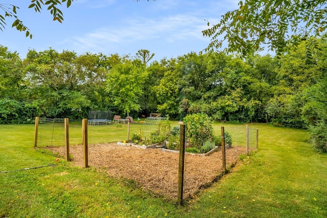 1001 N Graycroft Ave, Madison, TN 37115 - surrounding community with a garden, a yard, and a trampoline