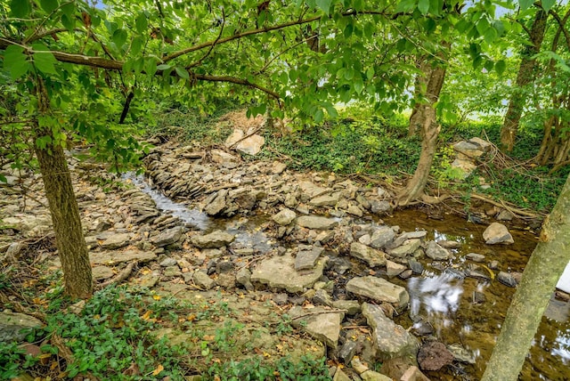1001 N Graycroft Ave, Madison, TN 37115 - view of nature