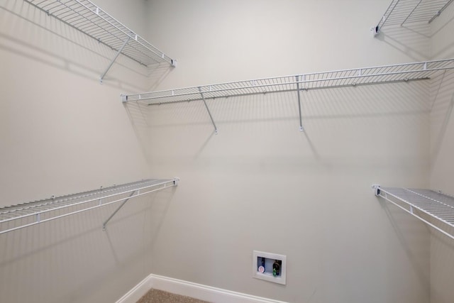 view of walk in closet