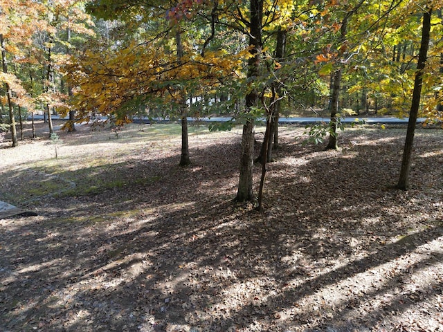 7274 Kingston Rd, Fairview, TN 37062 - view of yard