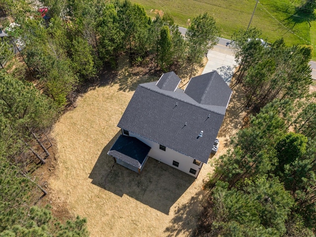 bird's eye view