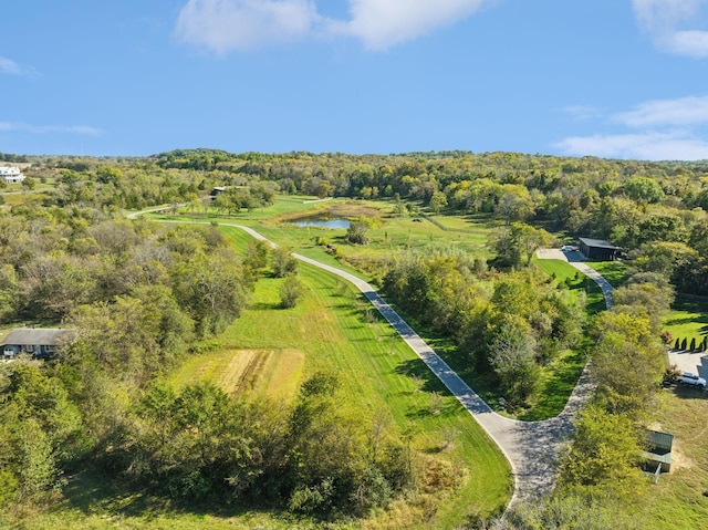 274 Callis Rd, Lebanon, TN 37090 - drone / aerial view featuring a water view and a view of trees