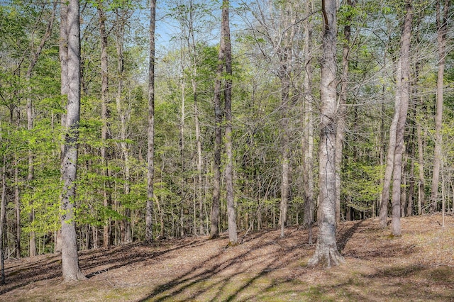 1219 Four Seasons Dr, Smithville, TN 37166 - photo 38