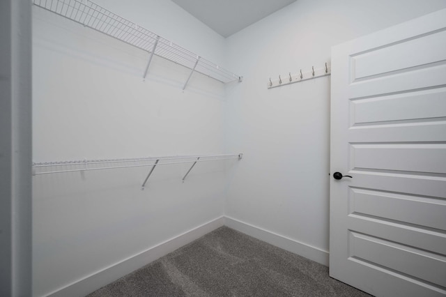 4302 Peacemill Ln, Murfreesboro, TN 37128 - spacious closet with dark carpet
