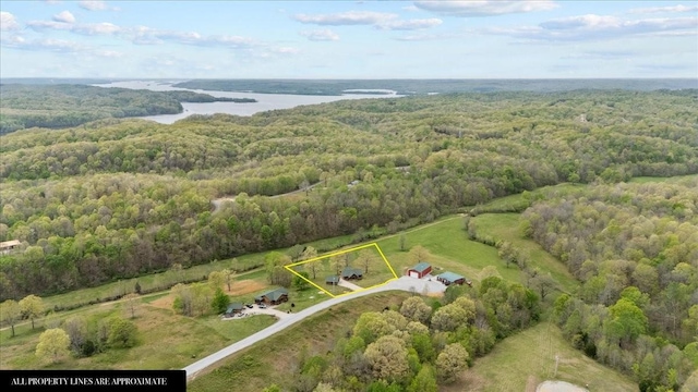 229 Blackhawk Ct, Waverly, TN 37185 - drone / aerial view featuring a view of trees and a water view