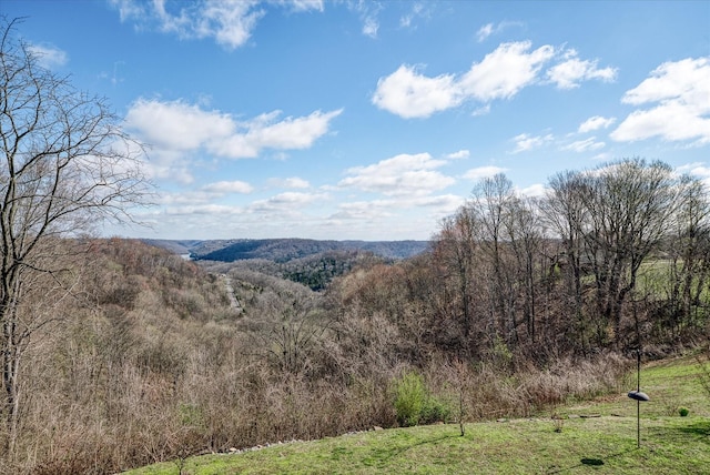 148 Davidson Rd, Smithville, TN 37166 - photo 33