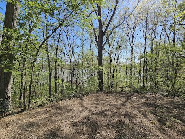 50 Deaton Ln, Parsons, TN 38363 - view of local wilderness with a view of trees