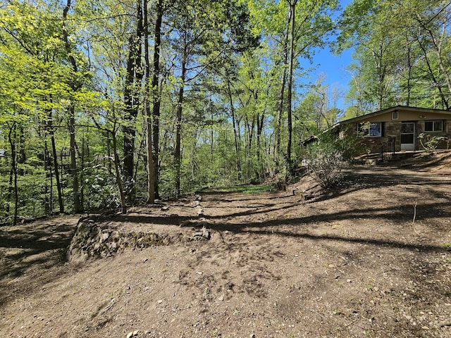 50 Deaton Ln, Parsons, TN 38363 - view of nature