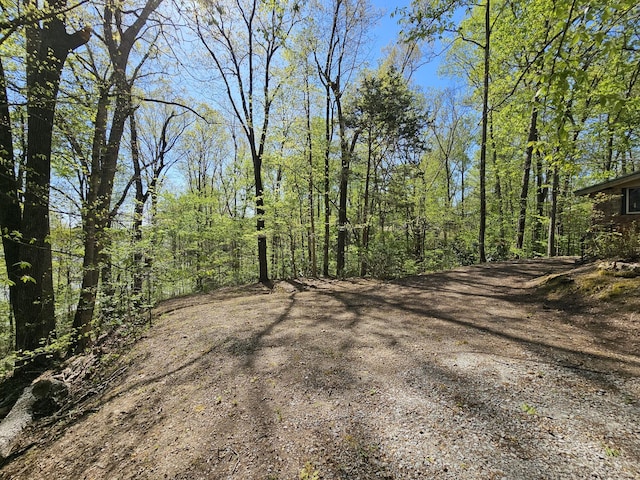 50 Deaton Ln, Parsons, TN 38363 - view of street with a view of trees