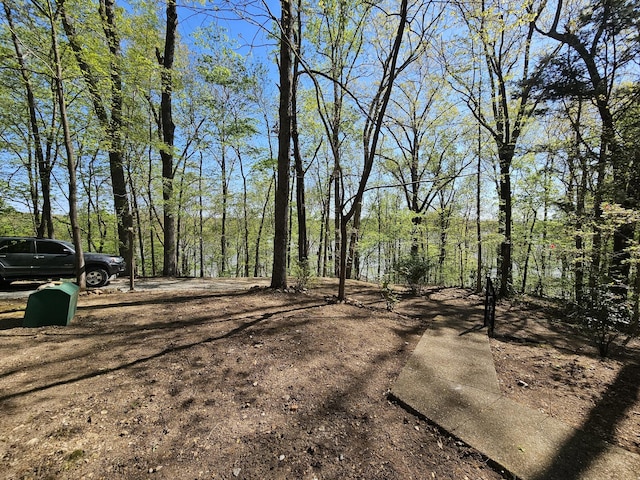 50 Deaton Ln, Parsons, TN 38363 - view of yard featuring a forest view