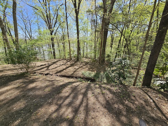 50 Deaton Ln, Parsons, TN 38363 - view of nature