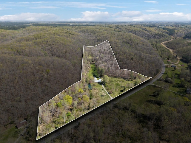 1651 Centerville Hwy, Hohenwald, TN 38462 - bird's eye view with a forest view