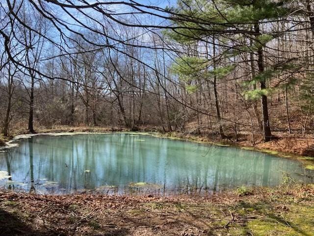 1651 Centerville Hwy, Hohenwald, TN 38462 - view of water feature featuring a wooded view