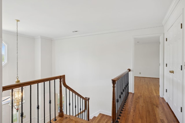 6103 Martingale Ln, Brentwood, TN 37027 - photo 25