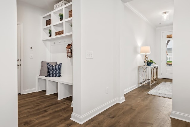 mudroom featuring baseboards, dark wood-type flooring, and crown molding