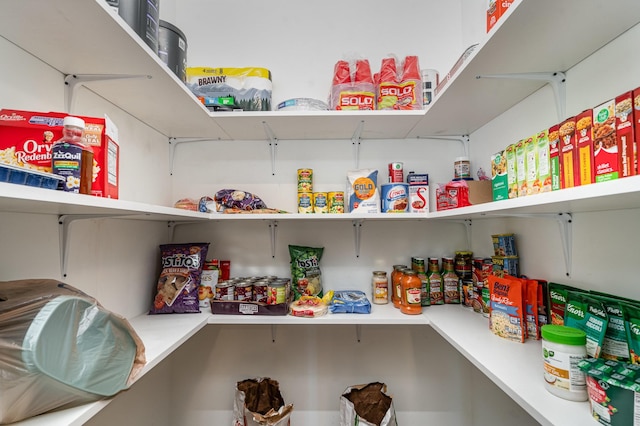 166 Mount Vernon Church Rd, Bethpage, TN 37022 - view of pantry