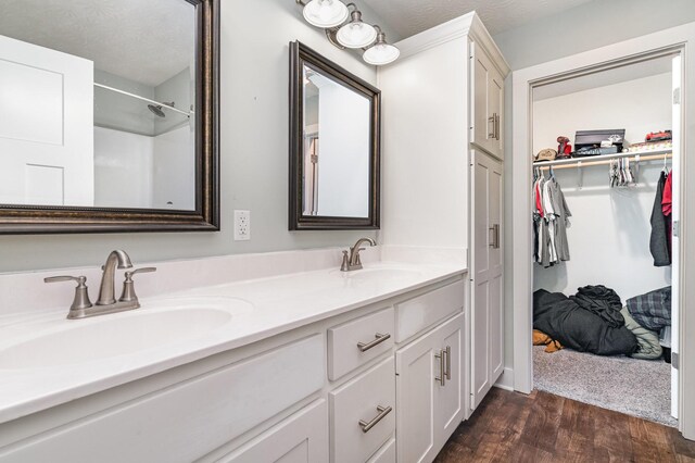 166 Mount Vernon Church Rd, Bethpage, TN 37022 - full bathroom featuring a sink, a walk in closet, double vanity, and wood finished floors