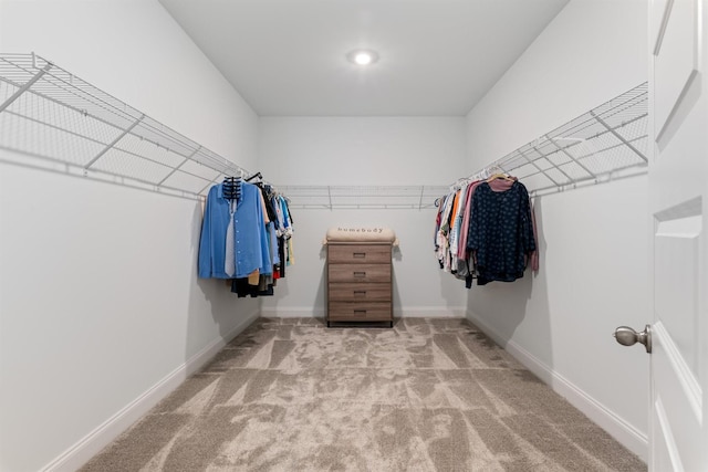 565 Kipton Trl, Lebanon, TN 37087 - walk in closet featuring light colored carpet
