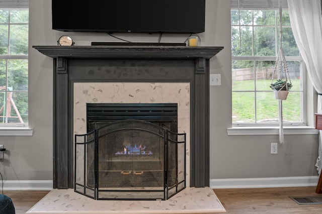 2321 Chimney Hills Dr, Soddy Daisy, TN 37379 - detailed view of baseboards, wood finished floors, and a glass covered fireplace